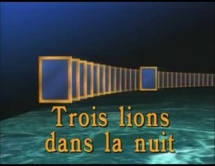 trois lions dans la nuit (1)