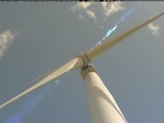 MPs urged to combat climate change