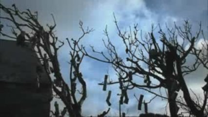 The Daisy Chain trailer