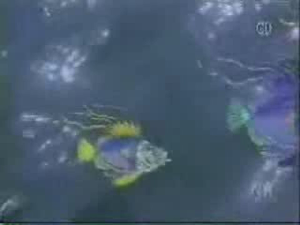 Classic Sesame Street animation - Three Fishes