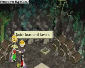 Les Amis De Dofus
