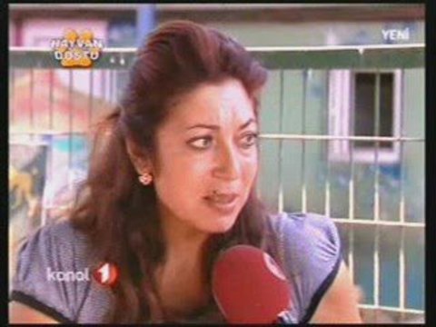 Yedikule Hayvan Barınağı Kanal 1