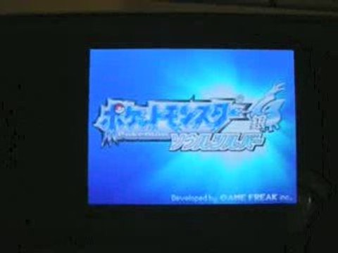 La forêt jaune des Pikachu Event Coeur d'Or et Âme d'Argent