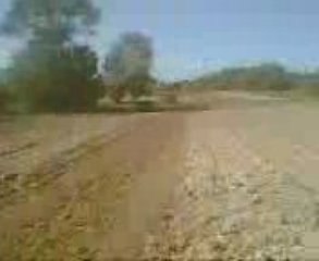 tümosan 9580 goble çekiyor ve fendt106s yılaf tohunu atarken