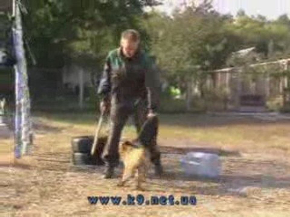 Jasmin v.d.Steinfluss testing for Ring