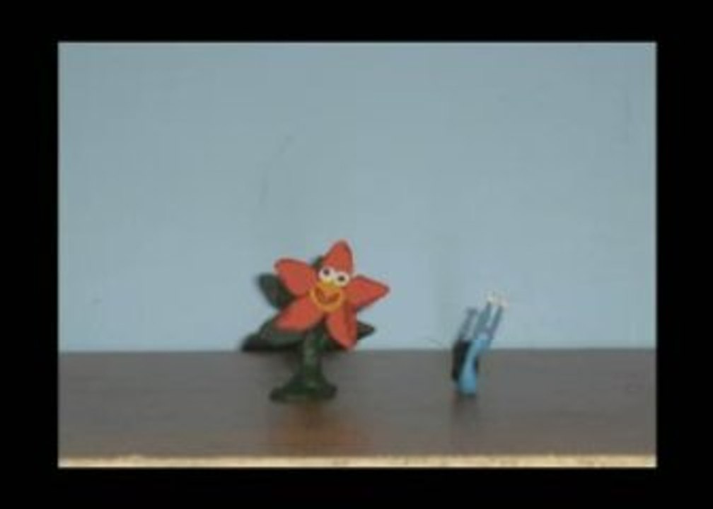 video(2)