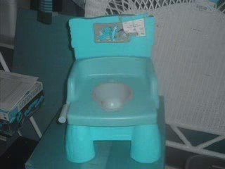 Potty training: How to get the job done