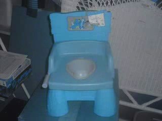 Potty Toilet trainingTiming, technique and handling