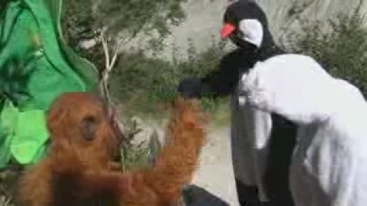 Les rescapés climatiques de passage à la mer de glaçe