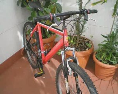 Ciclisti e Ferrari da Fernando Alonso