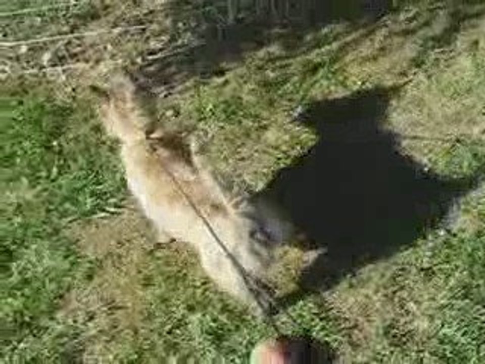 2009_10140006