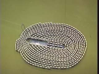 DominoDay 2007 Test - Message in a bottle