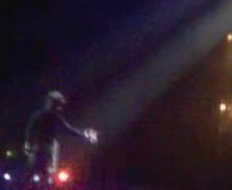 Indochine 2009 concert