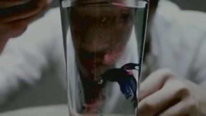 [MV] Jaurim - Spiral Silk ​(나사) (螺絲)