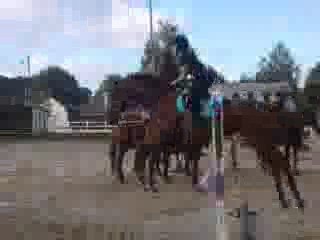 Cours de saut avec Diar