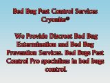Bed Bugs Pest Control Pro Pest Control Bed Bugs Exterminator