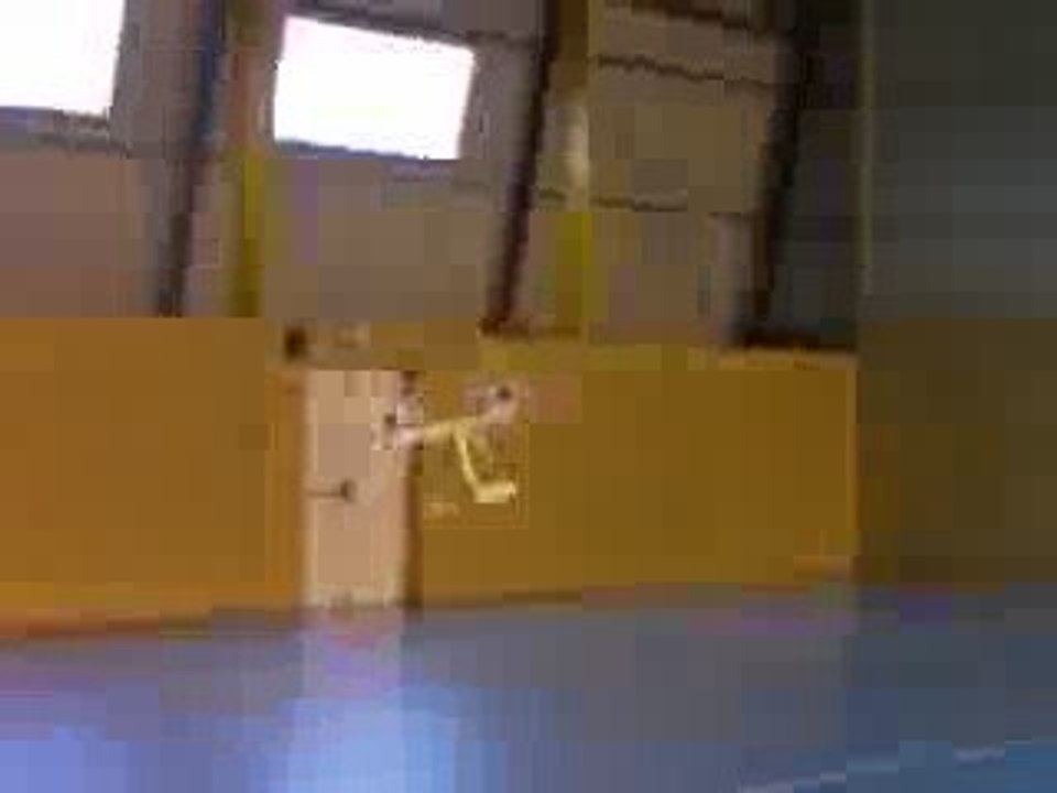 Gyrocoptère d'Eric B