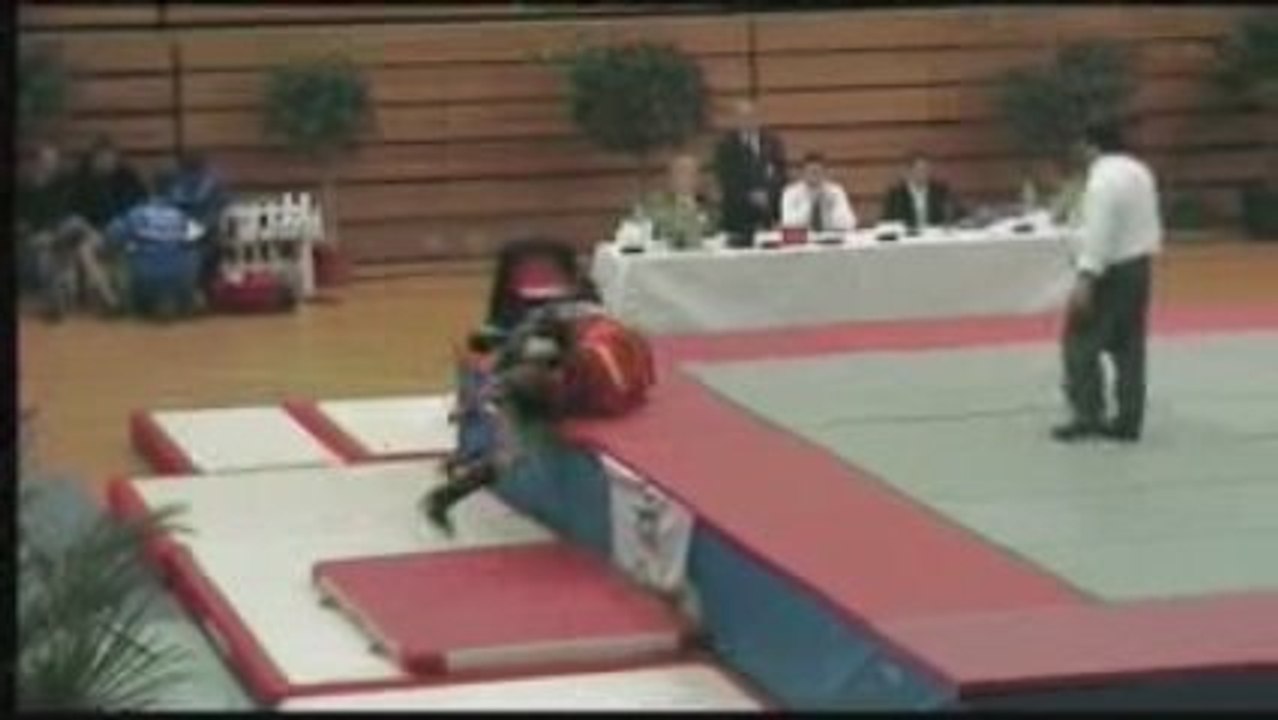 Sanda Championnat de France 2009