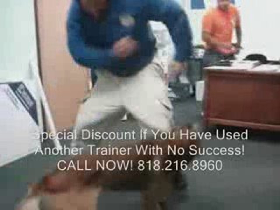 Protection Training German Shepherd FREE INFO CALL ...