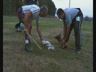 embre de la croisee des loups 9 semaines