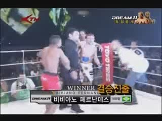 Bibiano Fernandes vs Joe Warren