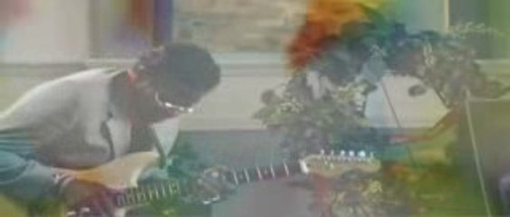 Fruit Bats - The Ruminant Band