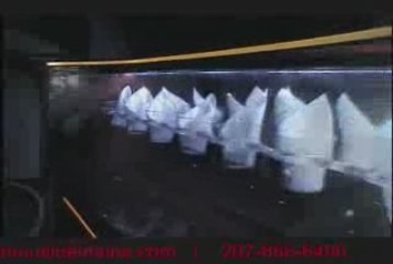 Limo Maine - Atlantic Limo Maine | Dodge Charger Limo Pt1