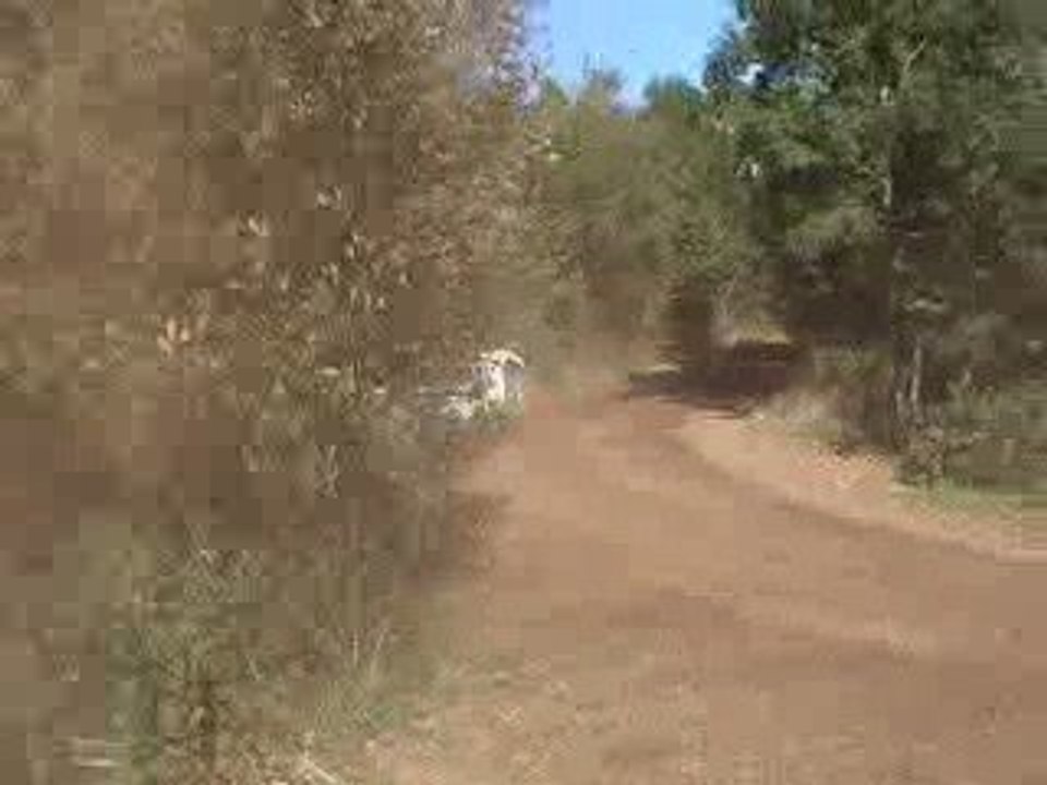 Rallye des cardabelles 2009