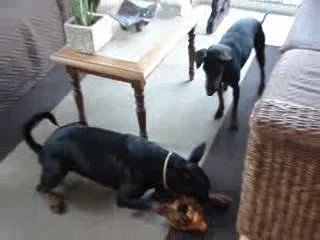 bahamas et son cadeau de marraine