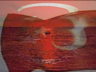 Yüreğinle Gel-Ahmet Şafak