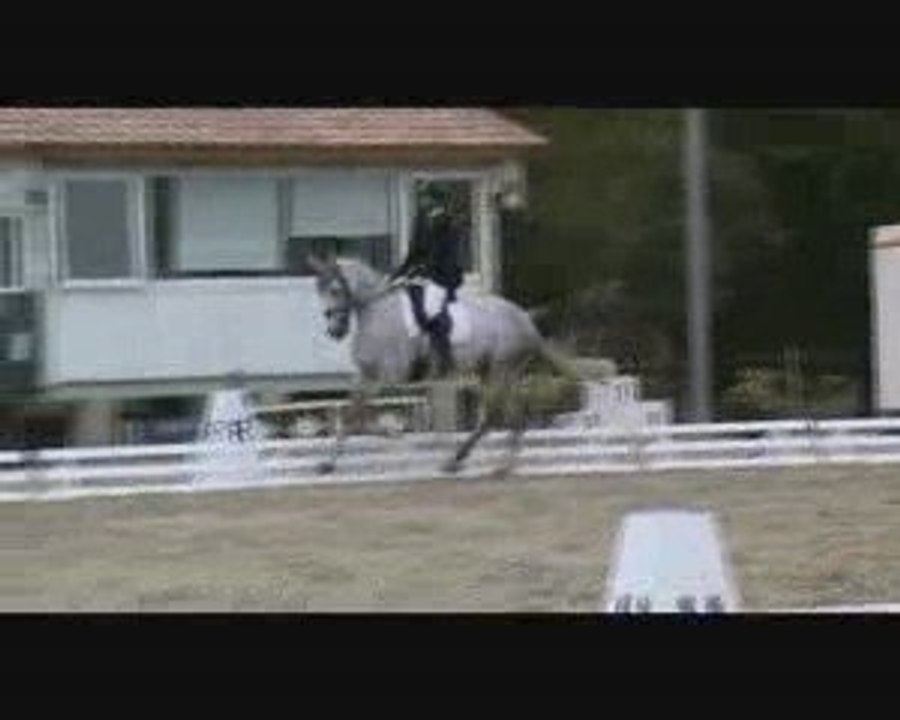 Dressage Toulouse Octobre 2009