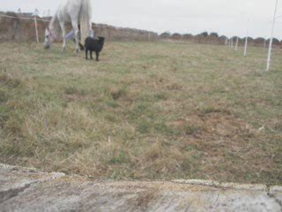 Début octobre 2009