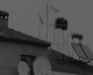 Poetry Of The Earth Is Never Dead