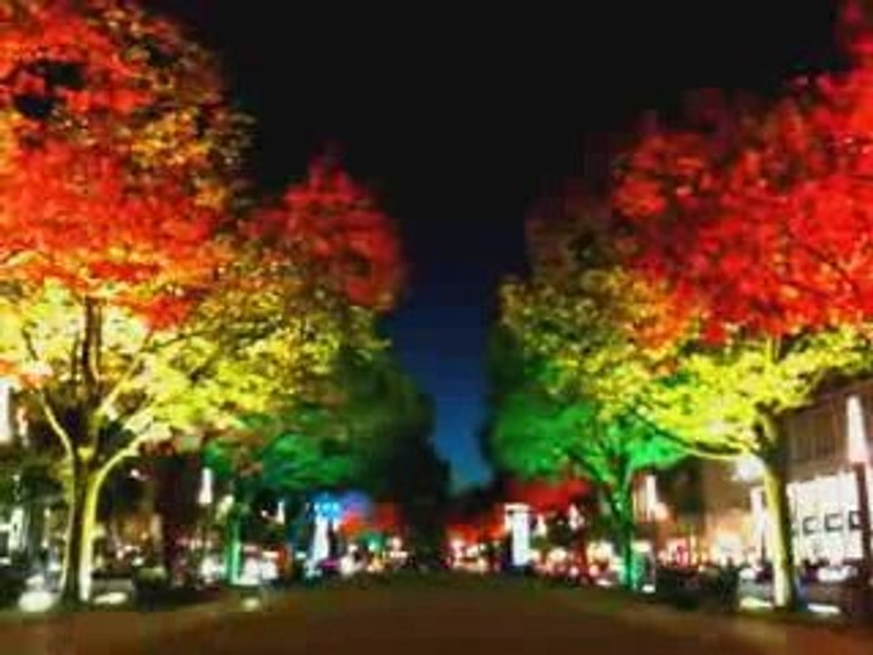 Berlino, festival delle luci 2009