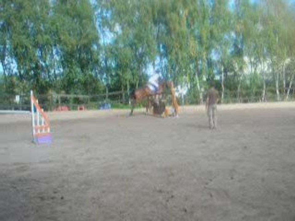 Concours de CSO a la bidauderie