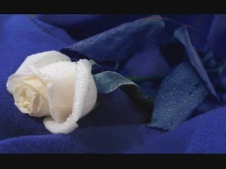 ANTHONY CLARP CHANTE LA QUETE DE JACQUES BREL