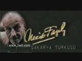 www.1siir.com necip fazıl kısakürek, sakarya türküsü
