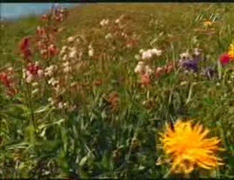 H. YAHYA LES PROPHETE ABRAHAM ET LOTH (PSE) 2-3