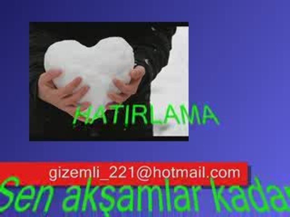 www.sesligonca.com