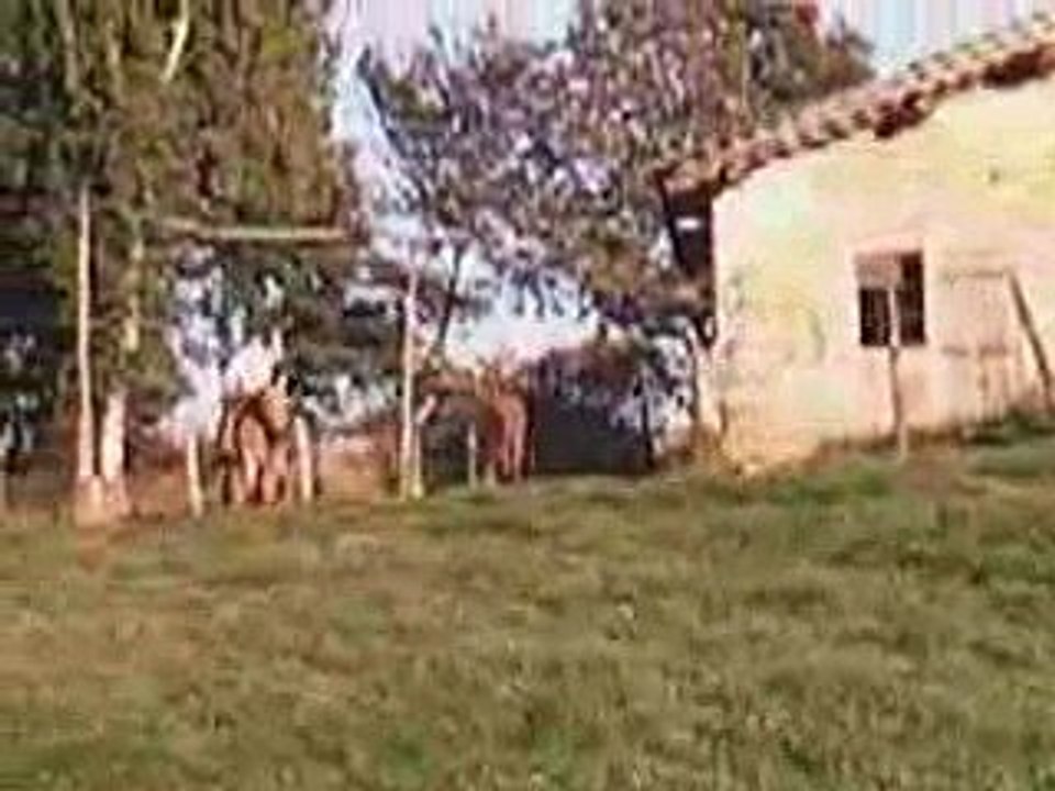 14 Octobre 2009 avec Alix