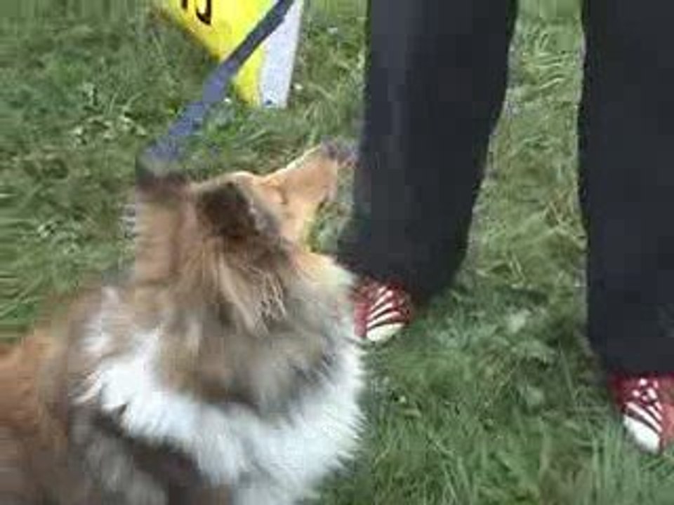 Tess echauffement