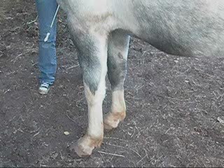 commencement jambette