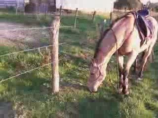 14 Octobre 2009 avec Alix