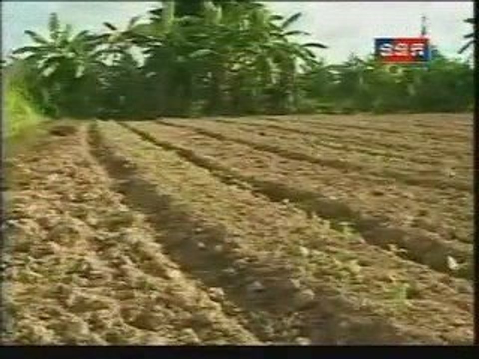 TVK Khmer News- 08/10/2009 #4