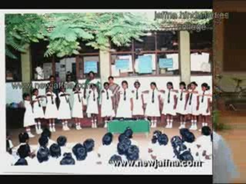 Jaffna Hindu Ladies