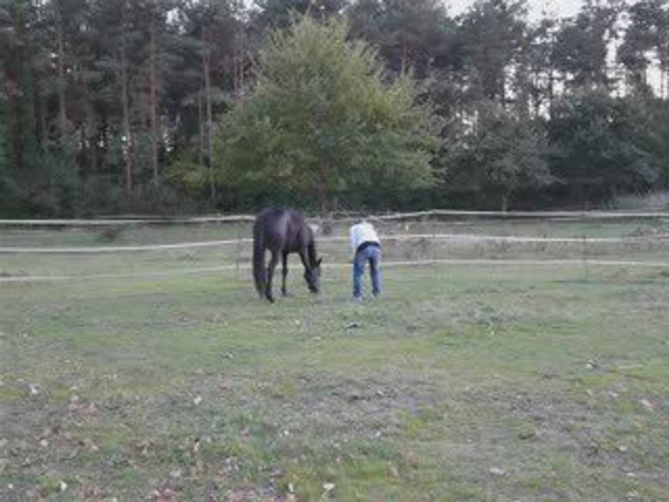 tina 13/10/09