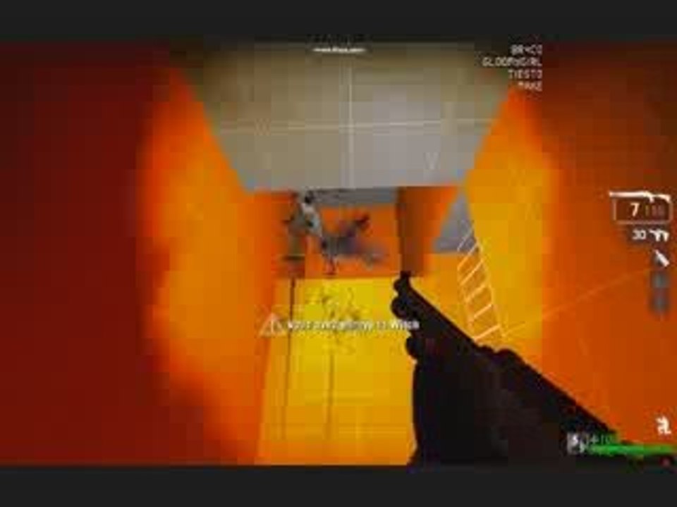 L4D witch