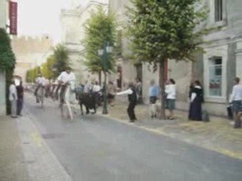 FETES VOTIVES AIGUES MORTES 2009