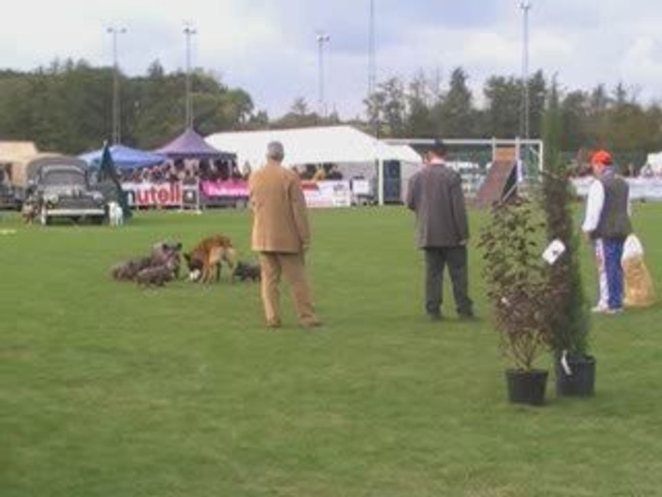championnat du monde mondioring a virton en belgique