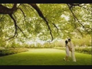 MEU DESTINO - Versão de "WITHOUT YOU - Harry Nilsson"